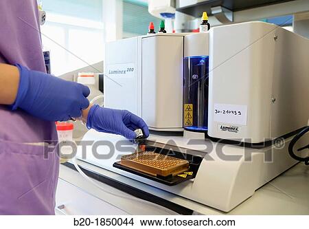 PCR, Luminex, Microbiology Department, Donostia Hospital, San Sebastian, Donostia, Gipuzkoa, Basque Country, Spain View Large Photo Image Picture - PCR, Luminex, Microbiology Department, Donostia Hospital, San Sebastian, Donostia, Gipuzkoa, Basque Country, Spain. Fotosearch
