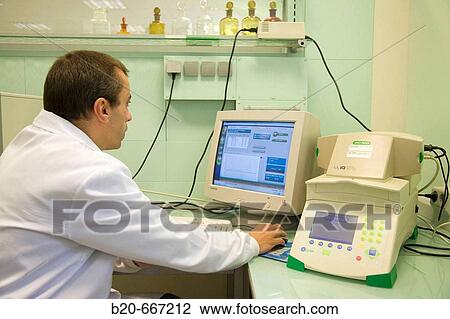 PCR-RT, DNA analysis, Plant health laboratory. Neiker Tecnalia, Instituto de Investigaci? n y Desarrollo Agrario, Ganadero, Forestal y del Medio Natural, Arkaute, Alava, Euskadi, Spain. View Large Photo Image Stock Image - PCR-RT, DNA analysis, Plant health laboratory. Neiker Tecnalia, Instituto de Investigaci? n y Desarrollo Agrario, Ganadero, Forestal y del Medio Natural, Arkaute, Alava, Euskadi, Spain.. Fotosearch