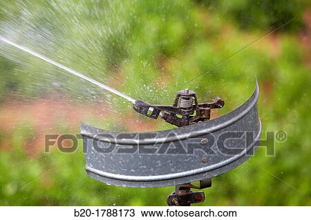 Pea growing field, Irrigation by sprinkler, Agricultural fields, High Ribera, Arga-Aragon Ribera, Navarre, Spain. View Large Photo Image Stock Image - Pea growing field, Irrigation by sprinkler, Agricultural fields, High Ribera, Arga-Aragon Ribera, Navarre, Spain.. Fotosearch