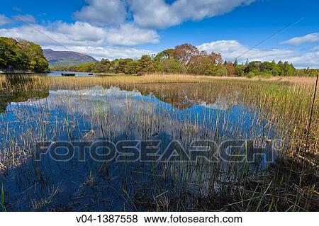 Peaceful lake scene in the Killarney National Park, County Kerry, Ireland, Europe View Large Photo Image Stock Photo - Peaceful lake scene in the Killarney National Park, County Kerry, Ireland, Europe. Fotosearch