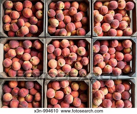 Peaches, Owings Maryland View Large Photo Image Stock Image - Peaches, Owings Maryland. Fotosearch