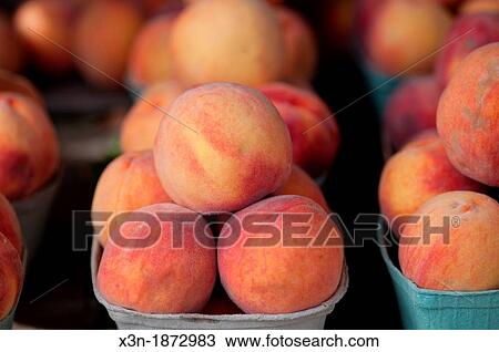 Peaches View Large Photo Image Stock Image - Peaches. Fotosearch