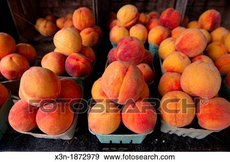 Peaches View Large Photo Image Stock Photo - Peaches. Fotosearch