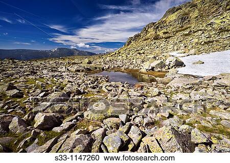 Pealara Natural Park Madrid Spain View Large Photo Image Stock Image - Pealara Natural Park Madrid Spain. Fotosearch