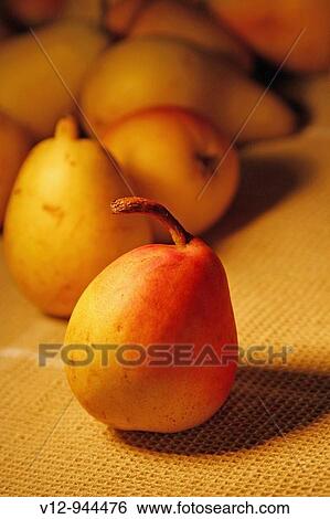 Stock Photograph - Pear fruit. Fotosearch
