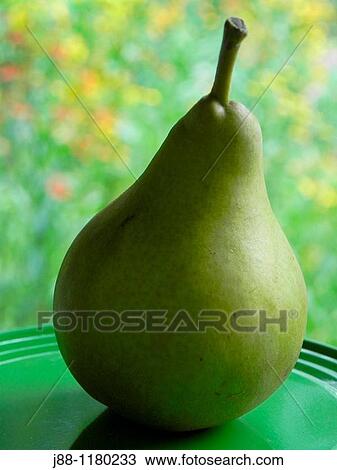 Pear on plate in the garden View Large Photo Image Stock Image - Pear on plate in the garden. Fotosearch