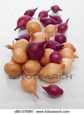 Pearl onions. View Large Photo Image Stock Image - Pearl onions.. Fotosearch