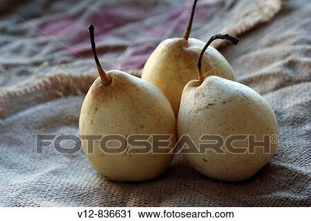 Pears fruit View Large Photo Image Stock Image - Pears fruit. Fotosearch