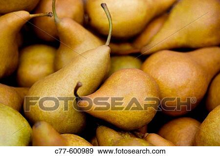 Stock Photo - Pears.. Fotosearch