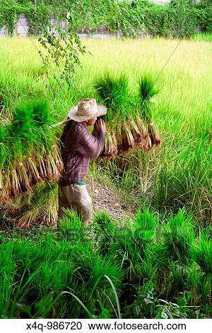 Stock Image - peasants working. Fotosearch
