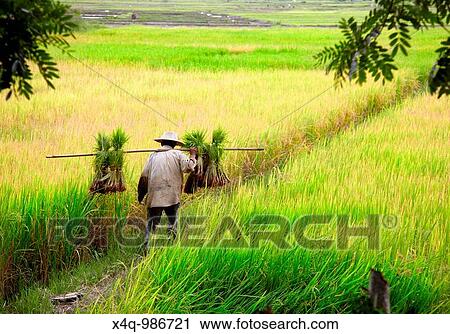 peasants working View Large Photo Image Stock Image - peasants working. Fotosearch