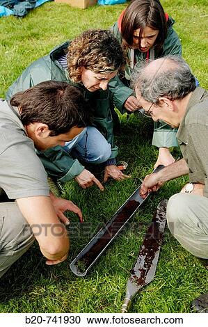Stock Image - Peat sample, climate change research, Neiker-Tecnalia, Unit of Environment, Belate, Navarra, Spain. Fotosearch