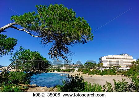 Peguera, Romana beach, Calvia, Mallorca, Balearic Islands, Spain. View Large Photo Image Stock Photograph - Peguera, Romana beach, Calvia, Mallorca, Balearic Islands, Spain.. Fotosearch