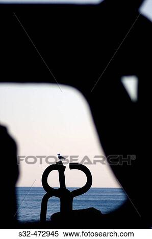 Stock Photography - ? Peine de los vientos?, sculpture by Eduardo Chillida and seagull. San Sebastian. Spain. Fotosearch