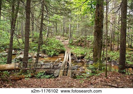 Pemigewasset Wilderness - Foot bridge along Nancy Pond Trail which crosses Notch Brook in Lincoln, New Hampshire USA This trail follows the old East Branch & Lincoln Railroad bed which was a logging railroad that operated from 1893 - 1948 View Large Photo Image Stock Image - Pemigewasset Wilderness - Foot bridge along Nancy Pond Trail which crosses Notch Brook in Lincoln, New Hampshire USA This trail follows the old East Branch & Lincoln Railroad bed which was a logging railroad that operated from 1893 - 1948. Fotosearch