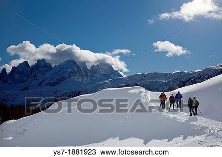 Stock Image - People hiking on a snow trail with Focobon and Mulaz mounts covered with snow in the background, San Pellegrino pass, Trentino Alto Adige, Italy, Europe. Fotosearch