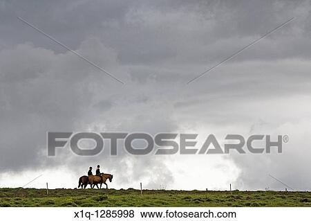 People horeseback riding, Iceland View Large Photo Image Stock Photo - People horeseback riding, Iceland. Fotosearch