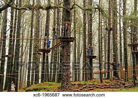 people in Forestal Park. Theme park in Tenerife island Spain View Large Photo Image Stock Photo - people in Forestal Park. Theme park in Tenerife island Spain. Fotosearch