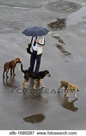People in the Russian seaport city of Murmansk on the northern shore of the Kola Peninsula, Barents Sea, Russia View Large Photo Image Stock Photo - People in the Russian seaport city of Murmansk on the northern shore of the Kola Peninsula, Barents Sea, Russia. Fotosearch