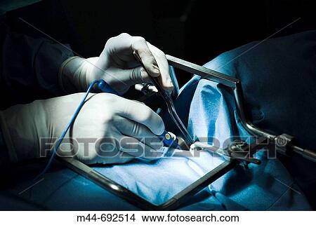 People View Large Photo Image Picture - People. Fotosearch