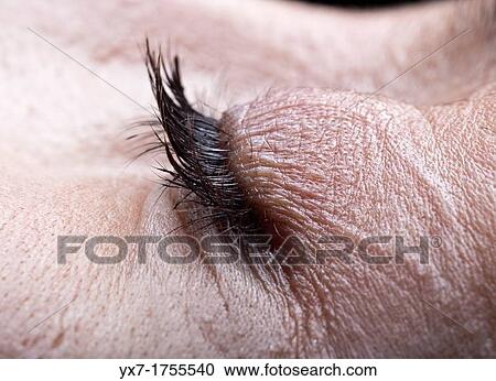 Stock Image - People. Fotosearch