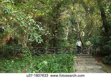 People walking along Qing Xiu Shan Temple garden, China. View Large Photo Image Stock Image - People walking along Qing Xiu Shan Temple garden, China.. Fotosearch