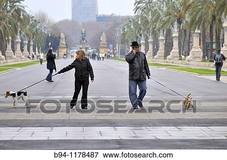 Stock Photo - People walking dogs, Passeig de Llu's Companys, Barcelona, Catalonia, Spain. Fotosearch
