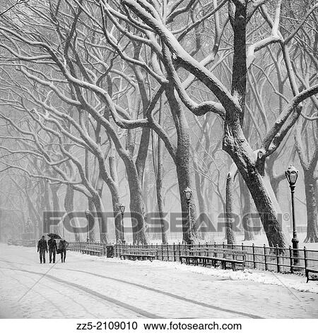 Stock Image - People walking in the snow with Tall Trees.. Fotosearch