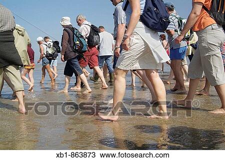 People walking on beach. Fohr/Amrum, North Frisian Islands, Schleswig-Holstein, Germany View Large Photo Image Stock Image - People walking on beach. Fohr/Amrum, North Frisian Islands, Schleswig-Holstein, Germany. Fotosearch