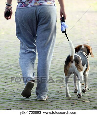 People whit Dog at Amsterdam View Large Photo Image Stock Image - People whit Dog at Amsterdam. Fotosearch
