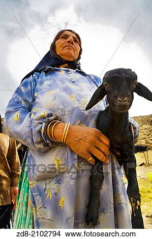 Persepolis. View Large Photo Image Picture - Persepolis.. Fotosearch