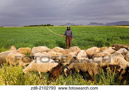 Persepolis. View Large Photo Image Stock Image - Persepolis.. Fotosearch