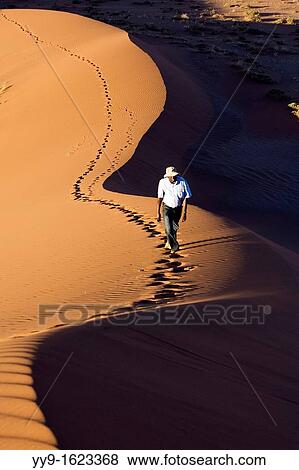 Person Climbing Dunes - Sossusvlei National Park - Namib-Naukluft National Park, Namibia, Africa View Large Photo Image Stock Photo - Person Climbing Dunes - Sossusvlei National Park - Namib-Naukluft National Park, Namibia, Africa. Fotosearch