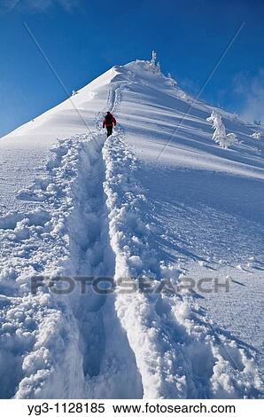 Person Climbs through deep powder snow towars summit of Jenner, Berchtesgaden national park, Bavaria, Germany View Large Photo Image Stock Photography - Person Climbs through deep powder snow towars summit of Jenner, Berchtesgaden national park, Bavaria, Germany. Fotosearch