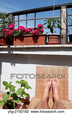 person sitting in terrace garden in rome italy View Large Photo Image Stock Image - person sitting in terrace garden in rome italy. Fotosearch