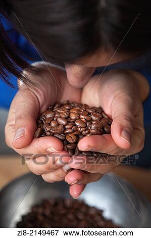 Person smeels freshly roasted coffee beans. View Large Photo Image Stock Photo - Person smeels freshly roasted coffee beans.. Fotosearch