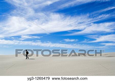 Person walking on dunes, Farewell Spit, New Zealand View Large Photo Image Stock Photo - Person walking on dunes, Farewell Spit, New Zealand. Fotosearch