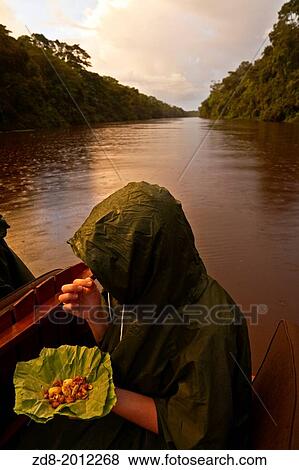 Stock Photo - peruvian amzonian.. Fotosearch