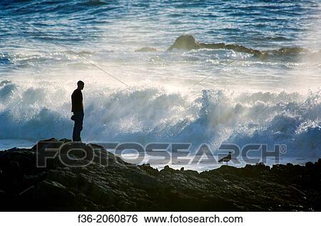 Pescadaro California seashore View Large Photo Image Stock Photograph - Pescadaro California seashore. Fotosearch
