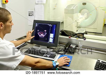 PET-CT Siemens Biograph, Combined apparatus for positron emission tomography PET and X-ray computer tomography CT, Nuclear medicine, Onkologikoa Hospital, Oncology Institute View Large Photo Image Stock Image - PET-CT Siemens Biograph, Combined apparatus for positron emission tomography PET and X-ray computer tomography CT, Nuclear medicine, Onkologikoa Hospital, Oncology Institute. Fotosearch