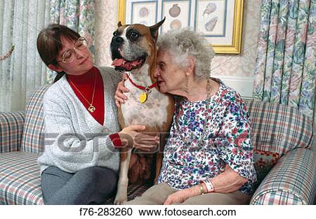Pet therapy View Large Photo Image Stock Image - Pet therapy. Fotosearch