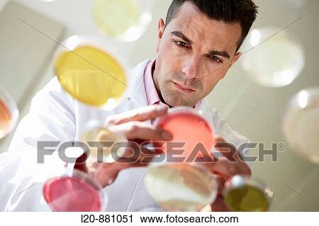 Petri dishes, Physical Chemical Laboratory, Azti-Tecnalia, Marine and Food Research Technological Centre, Derio, Biscay, Basque Country, Spain View Large Photo Image Stock Image - Petri dishes, Physical Chemical Laboratory, Azti-Tecnalia, Marine and Food Research Technological Centre, Derio, Biscay, Basque Country, Spain. Fotosearch