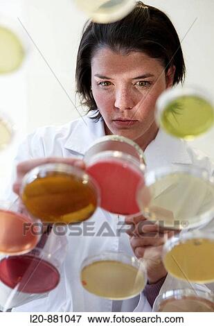 Petri dishes, Physical Chemical Laboratory, Azti-Tecnalia, Marine and Food Research Technological Centre, Derio, Biscay, Basque Country, Spain View Large Photo Image Stock Photo - Petri dishes, Physical Chemical Laboratory, Azti-Tecnalia, Marine and Food Research Technological Centre, Derio, Biscay, Basque Country, Spain. Fotosearch