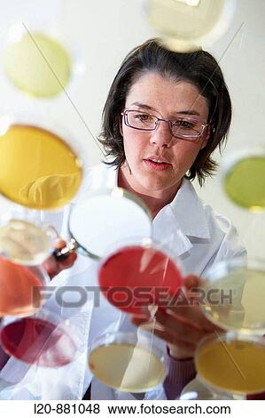 Petri dishes, Physical Chemical Laboratory, Azti-Tecnalia, Marine and Food Research Technological Centre, Derio, Biscay, Basque Country, Spain View Large Photo Image Stock Photo - Petri dishes, Physical Chemical Laboratory, Azti-Tecnalia, Marine and Food Research Technological Centre, Derio, Biscay, Basque Country, Spain. Fotosearch