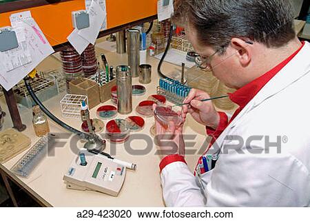 Petri dishes. View Large Photo Image Stock Image - Petri dishes.. Fotosearch