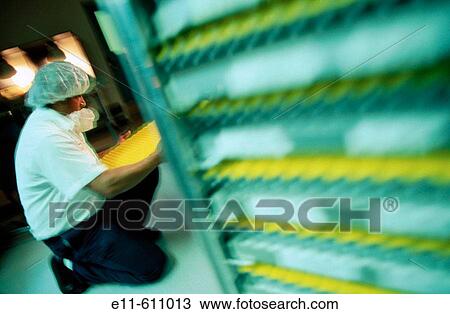Pharmaceutical manufacturing, worker holding trays of vials View Large Photo Image Stock Image - Pharmaceutical manufacturing, worker holding trays of vials. Fotosearch