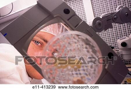 Pharmaceutical worker observes petri dish View Large Photo Image Stock Photo - Pharmaceutical worker observes petri dish. Fotosearch
