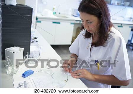 Pharmacy, preparing drug in mortar. Hospital Universitario Gran Canaria Doctor Negrin, Las Palmas de Gran Canaria. Canary Islands, Spain View Large Photo Image Stock Image - Pharmacy, preparing drug in mortar. Hospital Universitario Gran Canaria Doctor Negrin, Las Palmas de Gran Canaria. Canary Islands, Spain. Fotosearch