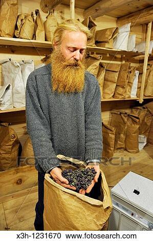 Stock Image - Philippe Demoisson, farmer and gatherer of aromatic and medicinal herbs in the village of Saint-Bonnet-le-Bourg, Livradois-Forez Regional Nature Park, Puy-de Dome department, Auvergne region, France, Europe. Fotosearch