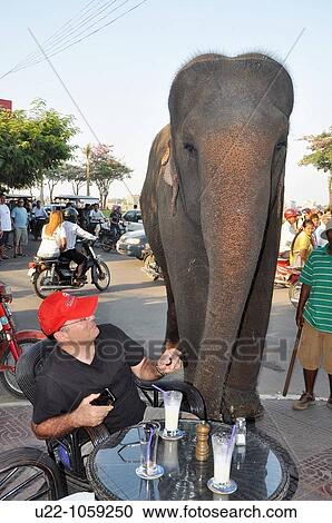 Stock Image - Phnom Penh (Cambodia): elephant at a caf? by the riverside. Fotosearch
